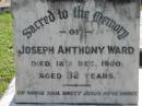 
Joseph Anthony WARD,
died 18 Dec 1920 aged 32 years;
Fanny Ethel WARD, mother,
died 22 Oct 1954 aged 63 years;
St James Catholic Cemetery, Palen Creek, Beaudesert Shire
