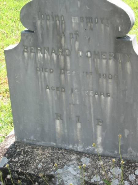 Bernard DOHERTY,  | died 1 Dec 1909 aged 14 years;  | St James Catholic Cemetery, Palen Creek, Beaudesert Shire  | 