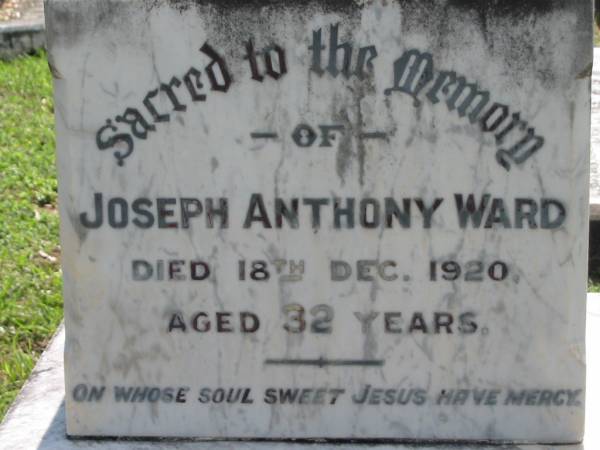 Joseph Anthony WARD,  | died 18 Dec 1920 aged 32 years;  | Fanny Ethel WARD, mother,  | died 22 Oct 1954 aged 63 years;  | St James Catholic Cemetery, Palen Creek, Beaudesert Shire  | 