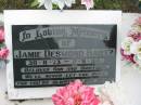 
Jamie Desmond BARTZ, 30-8-73 - 2-9-84, son brother;
Parkhouse Cemetery, Beaudesert
