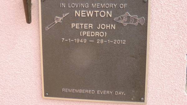 Peter John NEWTON (Pedro)  | b: 7 Jan 1949  | d: 28 Jan 2012  |   | Peak Downs Memorial Cemetery / Capella Cemetery  | 