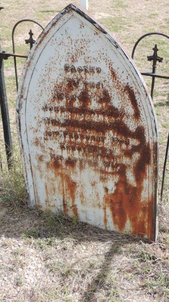 John McLATCHEY  | d: 16 Feb 1903  |   | Peak Downs Memorial Cemetery / Capella Cemetery  | 