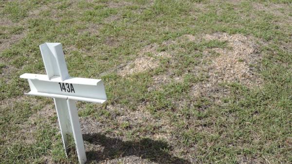 143A  |   | Peak Downs Memorial Cemetery / Capella Cemetery  | 