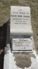
Robert Henry JOHNSON
d: 22 Dec 1914 aged 27 12 years

Eric JOHNSON
d: 26 Nov 1939
aged 21

Peak Downs Memorial Cemetery  Capella Cemetery
