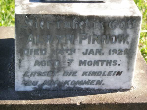Alwyn PINNOW,  | died 14 Jan 1921 aged 7 months;  | Pimpama Island cemetery, Gold Coast  | 