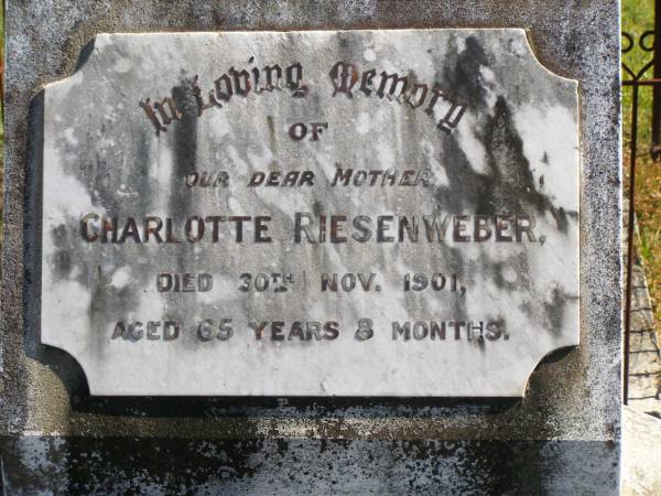 Charlotte RIESENWEBER,  | mother,  | died 30 Nov 1901 aged 65 years 8 months;  | Pimpama Island cemetery, Gold Coast  | 