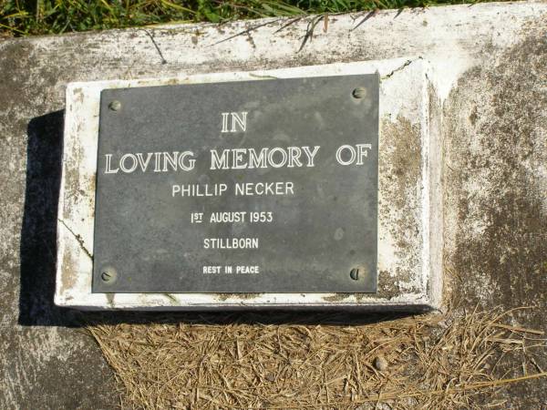 Phillip NECKER,  | stillborn 1 Aug 1953;  | Pimpama Island cemetery, Gold Coast  | 