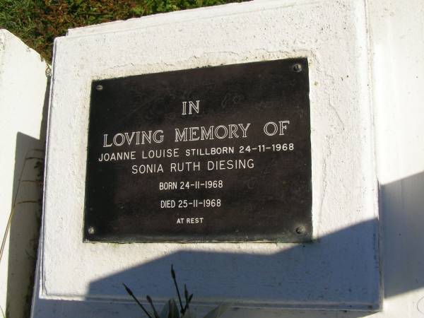 Sonia Ruth DIESING,  | born 24-11-1968,  | died 25-11-1968;  | Joanne Louise,  | stillborn 24-11-1968;  | Pimpama Island cemetery, Gold Coast  | 