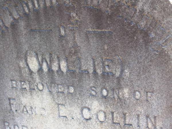 Willie,  | son of F. & E. COLLIN,  | born 6 March 1902,  | died 1 July 1905;  | Pimpama Island cemetery, Gold Coast  | 