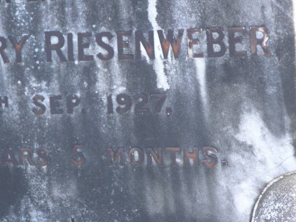 Gustav Henry RIESENWEBER,  | brother,  | died 16 Sept 1927 aged 55 years 5 months;  | Pimpama Island cemetery, Gold Coast  | 