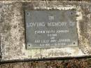 
Everin Keith JOHNSON,
died 3-2-1928;
Fay Lilly Amy JOHNSON,
5-6-1930 - 10-12-1930;
Pimpama Island cemetery, Gold Coast
