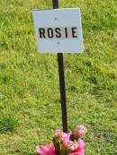 
Rosie;
Pimpama Island cemetery, Gold Coast

