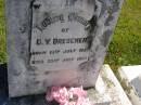 
D.V. DRESCHER,
born 13 July 1927,
died 25 July 1927;
Pimpama Island cemetery, Gold Coast
