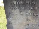 
Willie,
son of F. & E. COLLIN,
born 6 March 1902,
died 1 July 1905;
Pimpama Island cemetery, Gold Coast
