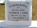 
Elizabeth J. LAHRS,
mother,
died 25 July 1947 aged 65 years;
Pimpama Island cemetery, Gold Coast
