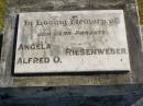 
Angela RIESENWEBER;
Alfred O. RIESENWEBER;
parents;
Pimpama Island cemetery, Gold Coast
