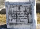 Lloyd Allan BILLIAU, son, died 2 March 1949 aged 6 years; Pimpama Island cemetery, Gold Coast 