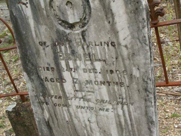Ethel,  | died 24 Dec 1906 aged 7 months;  | Pimpama Uniting cemetery, Gold Coast  | 