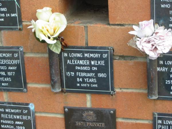 Alexander WILKIE,  | died 15 Feb 1980 aged 84 years;  | Pimpama Uniting cemetery, Gold Coast  | 
