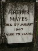 
Sarah Ann MAYES,
died 27 May 1945 aged 76 years;
Arthur MAYES,
died 3 Jan 1947 aged 75 years;
Pimpama Uniting cemetery, Gold Coast
