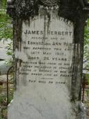 
James Herbert,
son of John Edward & Ann PASCOE,
died 14 May 1912 aged 26 years;
Pimpama Uniting cemetery, Gold Coast
