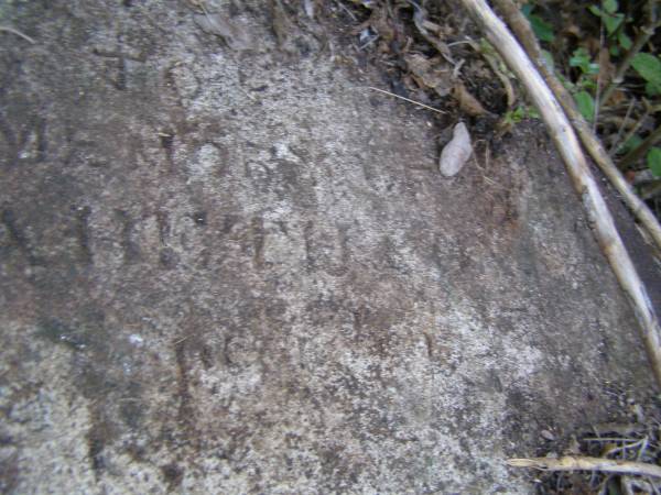 Elizabeth ?  | aged 7?  |   | Pine Mountain Congregational Church Cemetery  |   | Transcription by Katie Mead 1991  |   | Sacred  | to the memory of  | Elizabeth Cox  | who died September 23rd 1885  | Aged 76 years  |   | (Elizabeth is the Betsy after whom Betsy's bush is named).  | 