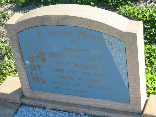 Brendan Neil BACHMANN  | 28 Feb 1967, aged 16 days  | Plainland Lutheran Cemetery, Laidley Shire  | 