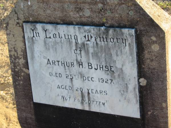 Arthur H BUHSE  | 25 Dec 1927, aged 20  | Plainland Lutheran Cemetery, Laidley Shire  | 