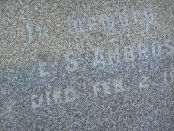 E.S. AMBROSE,  | died 2 Feb 1932;  | Polson Cemetery, Hervey Bay  | 