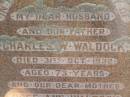 Charles W. WALDOCK, husband father, died 31 Oct 1932 aged 73 years; Rose Ann WALDOCK, mother, died 4 Aug 1943 aged 78 years; Polson Cemetery, Hervey Bay 