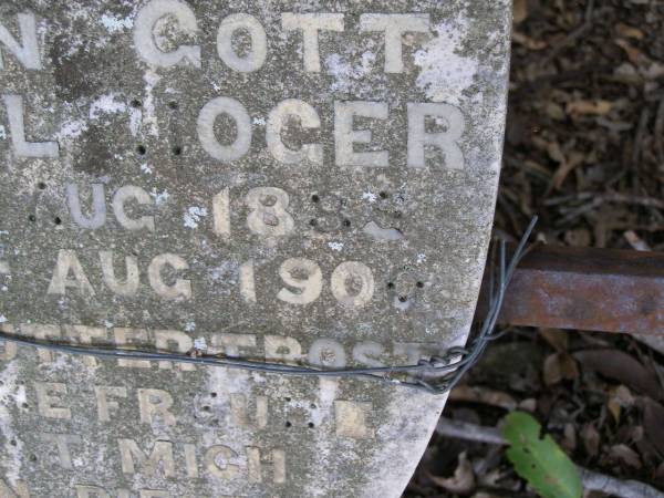 Wilhelm Paul HOGER,  | born 13 Aug 1889? died 5? Aug 1900;  | Ropeley Scandinavian Lutheran cemetery, Gatton Shire  | 