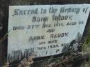 
John REDDY,
died 27 Dec 1916 aged 55 years;
Annie REDDY, wife,
died 31 Dec 1933 aged 70 years;
Rosevale St Patricks Catholic cemetery, Boonah Shire
