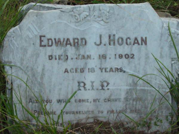Edward J. HOGAN,  | died 16 Jan 1902 aged 18 years;  | Rosevale St Patrick's Catholic cemetery, Boonah Shire  | 