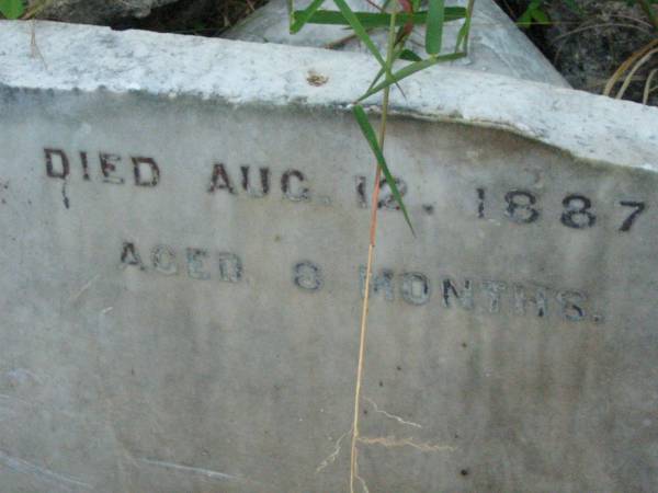 Edward J. HOGAN,  | died 16 Jan 1902 aged 18 years;  | Willy HOGAN,  | died 12 Aug 1887 aged 8 months;  | Rosevale St Patrick's Catholic cemetery, Boonah Shire  | 