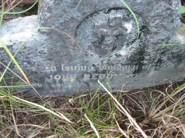 John REDDY senior,  | born County Kilkenny Ireland,  | died 3 Mar 1902 aged 87 years;  | Rosevale St Patrick's Catholic cemetery, Boonah Shire  | 