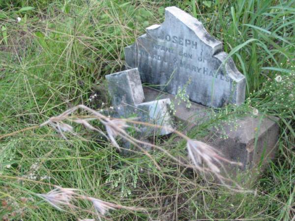 Joseph, infant son of Edward & Mary HAYES;  | Rosevale St Patrick's Catholic cemetery, Boonah Shire  | 