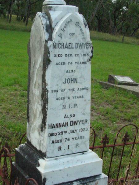 Michael DWYER,  | died 22 Dec 1915 aged 74 years;  | John, son, aged 6 years;  | Hannah DWYER,  | died 29 July 1923 aged 76 years;  | Rosevale St Patrick's Catholic cemetery, Boonah Shire  |   | 