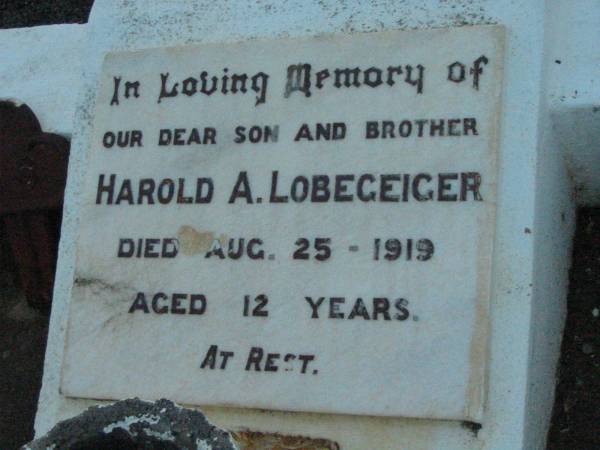 Harold A. LOBEGEIGER, son brother,  | died 25 Aug 1919 aged 12 years;  | Rosevale Church of Christ cemetery, Boonah Shire  | 
