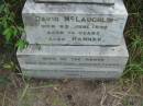 
David MCLAUGHLIN,
died 23 June 1899 aged 74 years;
Hannah, wife,
died 26 July 1900 aged 69 years;

Rosevale Methodist, C. Zahnow Road memorials, Boonah Shire

