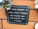 
Edna Joyce THOMAS,
died 17 Aug 1957 aged 3 years;
Rosewood Uniting Church Columbarium wall, Ipswich
