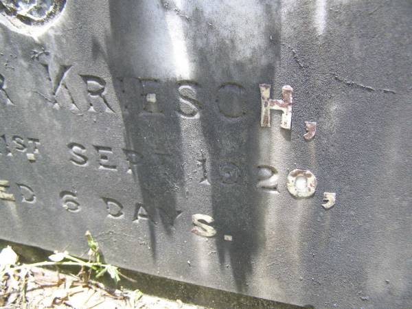 Victor KRIESCH,  | died 21 Sept 1920 aged 6 days;  | Samsonvale Cemetery, Pine Rivers Shire  | 