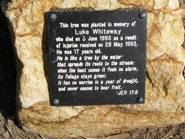 Luke WHITEWAY,  | died 3 June 1993  | from injuries from 28 May 1993,  | aged 17 years;  | Samsonvale Cemetery, Pine Rivers Shire  | 