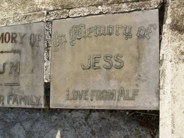 John H. JONES,  | son brother,  | accidentally drowned Virginia  | 7 Oct 1929 aged 12 years;  | Flo,  | love from Stan & John;  | Dad,  | from Mum, Marc & Jack;  | Marcia;  | Mum;  | Jess,  | love from Alf;  | Bald Hills (Sandgate) cemetery, Brisbane  |   | 
