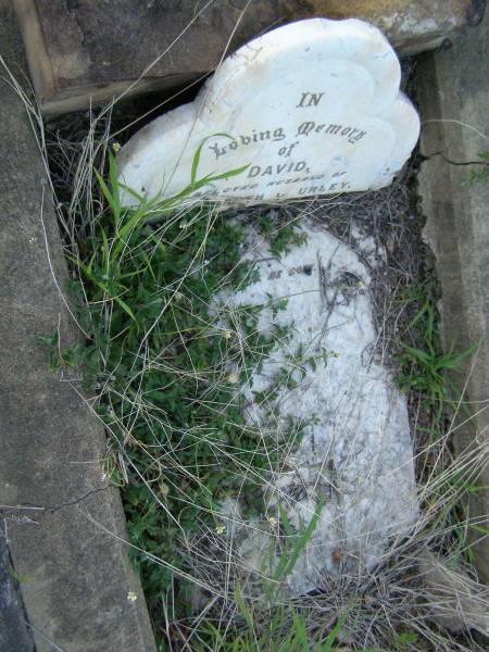 David,  | husband of Elizabeth GOURLEY,  | died 9 Feb 1916 aged 70 years;  | Bald Hills (Sandgate) cemetery, Brisbane  | 