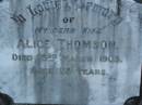 
Alice THOMSON,
wife,
died 23 March 1903 aged 28 years;
Bald Hills (Sandgate) cemetery, Brisbane
