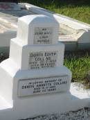 
Doris Edith COLLINS,
wife mother,
died 26 July 1953 aged 38 years;
Denise Annette COLLINS,
died 15 Nov 1963 aged 22 years;
Bald Hills (Sandgate) cemetery, Brisbane
