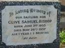 
Clive Samuel BISHOP,
son,
born 3 June 1935,
died 20 May 1937 aged 1 year 1 12 months;
Frederick George BISHOP,
father,
died 25-2-63 aged 73 years;
Rebecca Magdalene BISHOP,
died 26-3-56 aged 52 years;
Valma Gloria HOOPER,
born 18-6-24,
died 23-10-65;
Alan Leonard Charles HOOPER,
born 10-3-19,
died 1-2-78;
Bald Hills (Sandgate) cemetery, Brisbane
