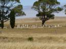 
Sheringa cemetery,
Eyre Peninsula,
South Australia
