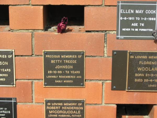 Betty Treece Johnson  | 29-10-99 72  |   | Sherwood (Anglican) Cemetery, Brisbane  |   | 