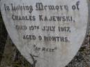 
Charles KAJEWSKI,
died 19 July 1917 aged 9 months;
Silverleigh Lutheran cemetery, Rosalie Shire
